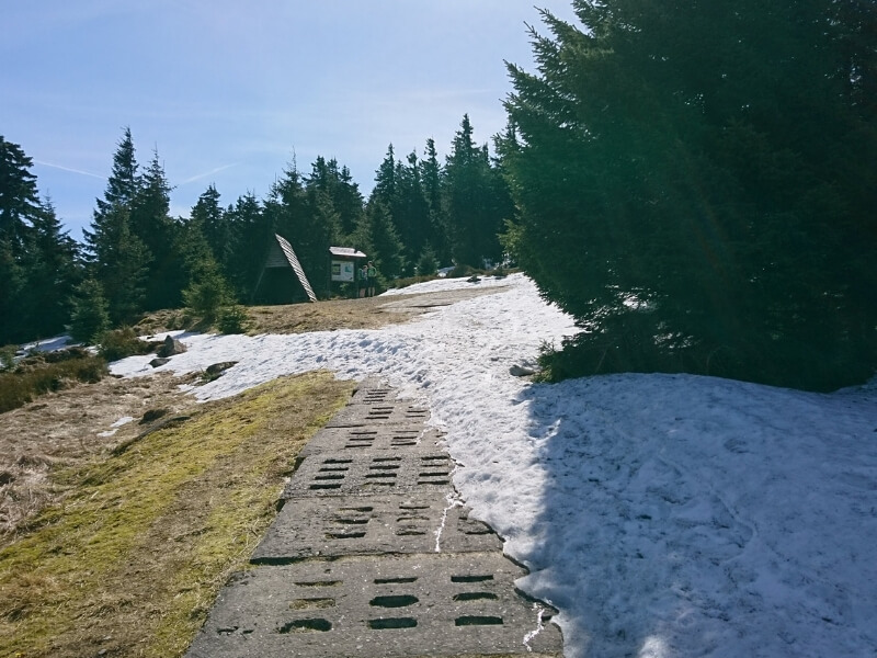 Schnee Harz