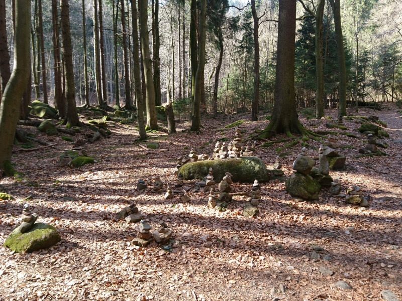 Wald Harz